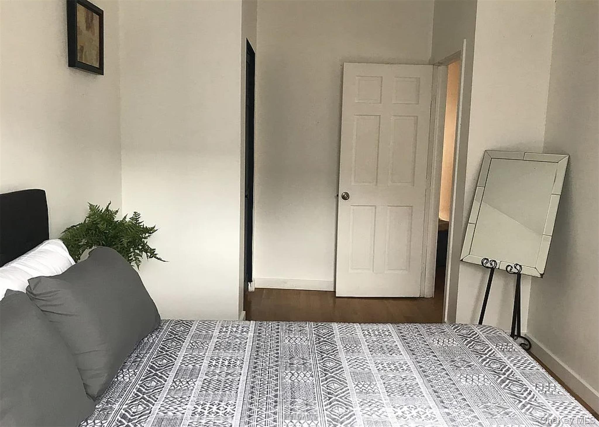 #11 photo, 234 Richardson Street, 布鲁克林 Brooklyn , NY 11222