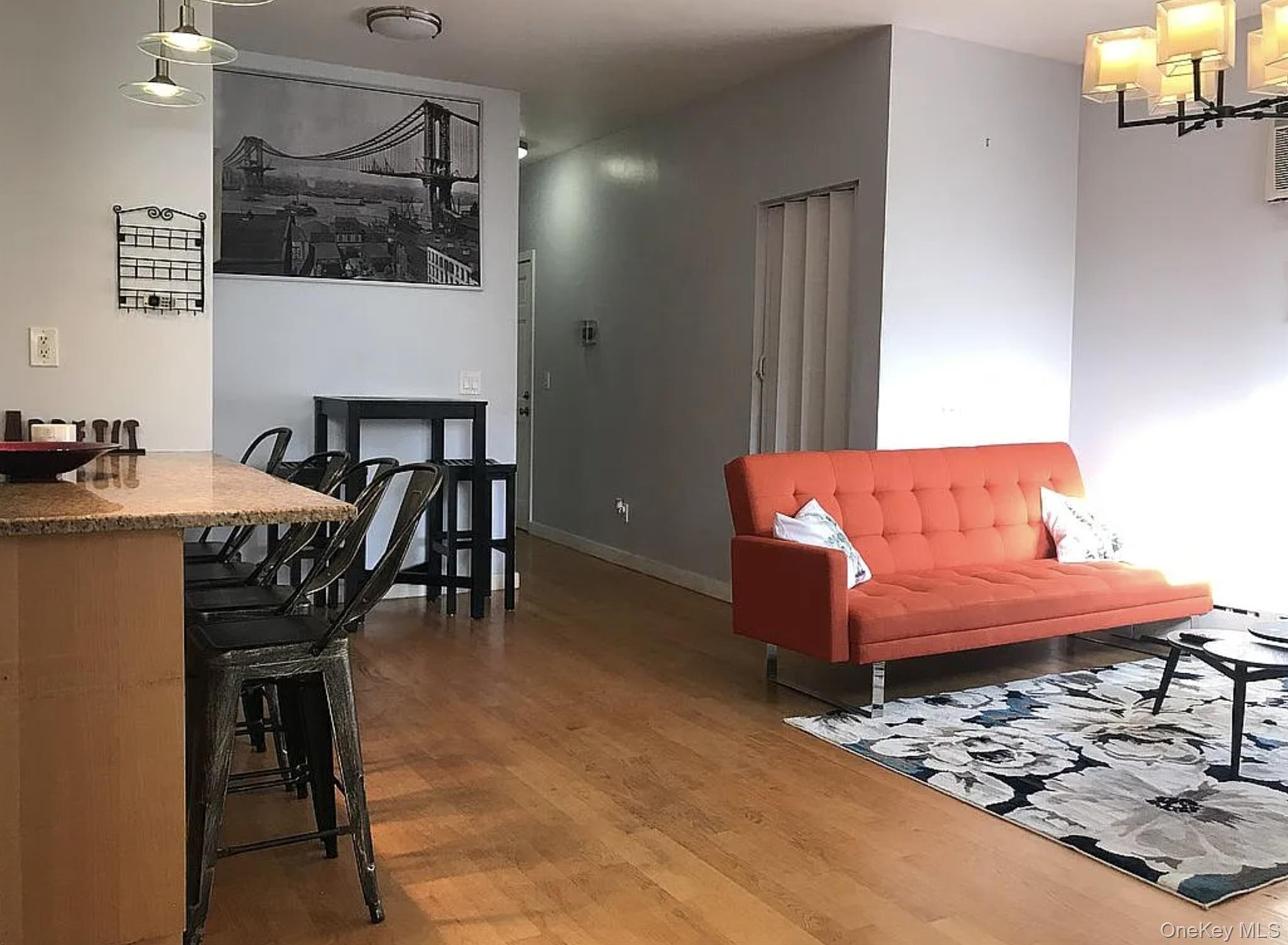 #5 photo, 234 Richardson Street, 布鲁克林 Brooklyn , NY 11222