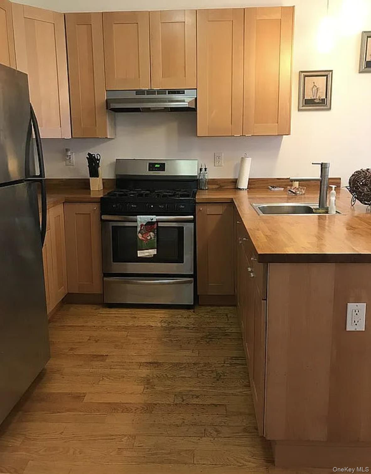 #8 photo, 234 Richardson Street, 布鲁克林 Brooklyn , NY 11222