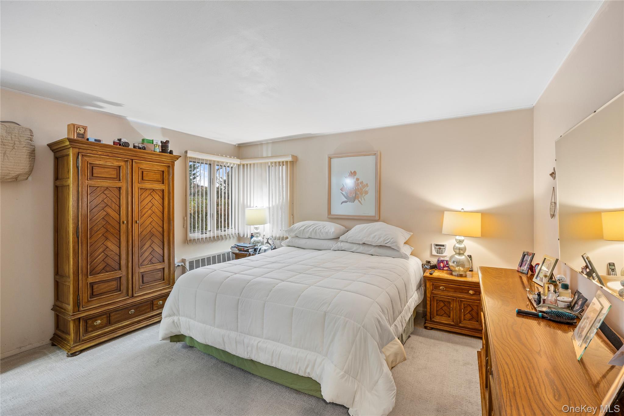 #10 photo, 18 Roxbury Avenue, 長島 Plainview , NY 11803