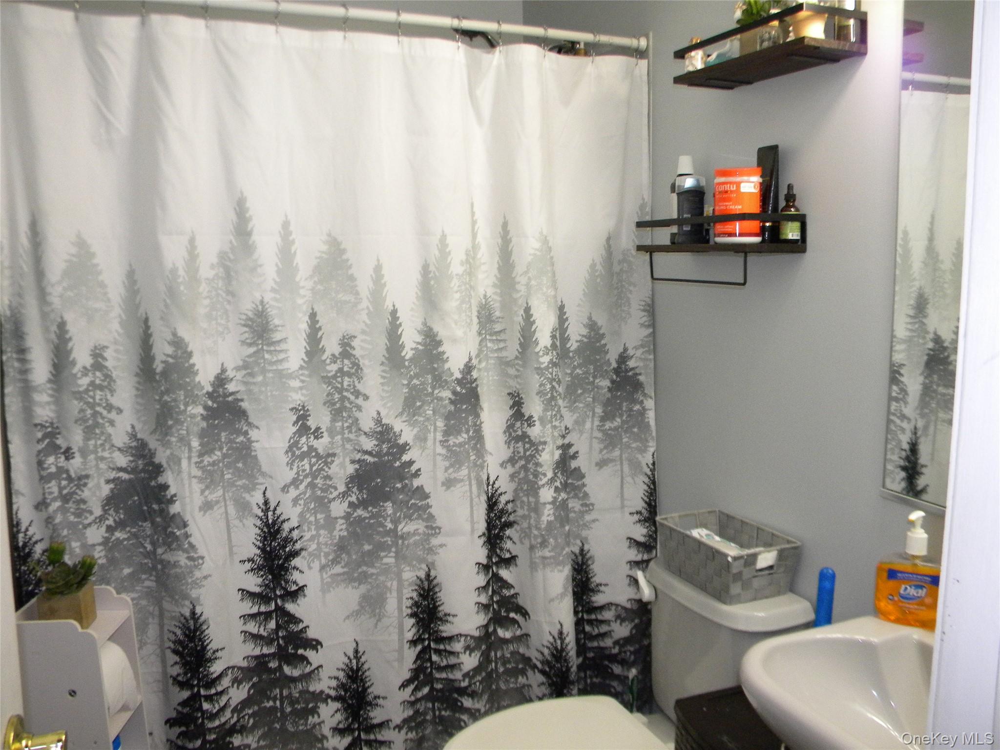 #15 photo, 79 S Evergreen Drive, 东长岛 Selden , NY 11784