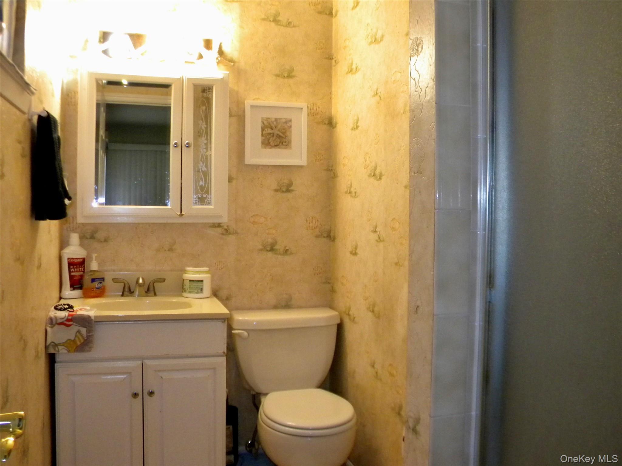 #17 photo, 79 S Evergreen Drive, 东长岛 Selden , NY 11784