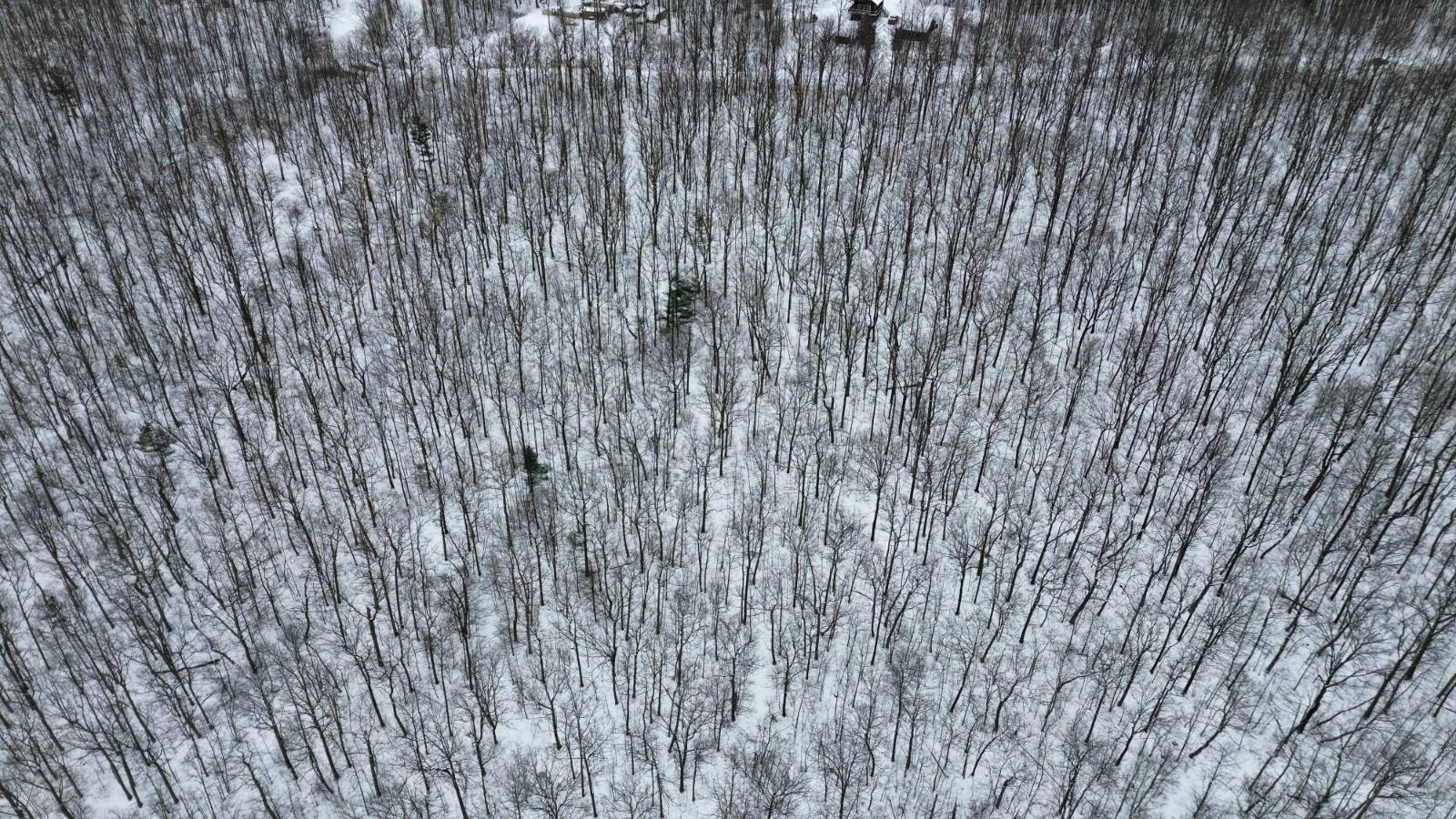 #1 photo, 5537 Highlands Drive, Branchport , NY 14418