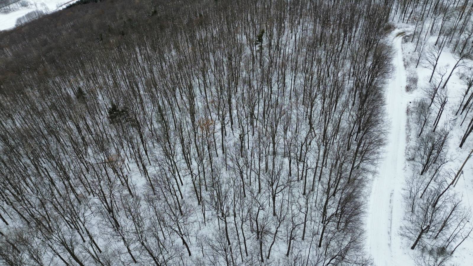 #11 photo, 5537 Highlands Drive, Branchport , NY 14418