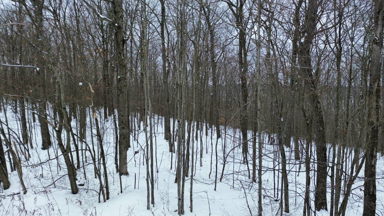 #12 photo, 5537 Highlands Drive, Branchport , NY 14418