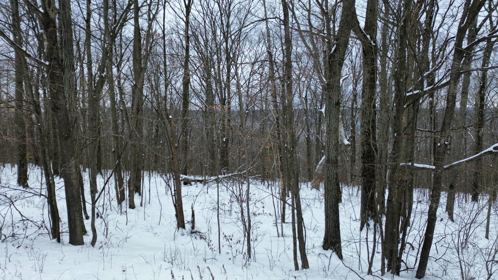 #13 photo, 5537 Highlands Drive, Branchport , NY 14418