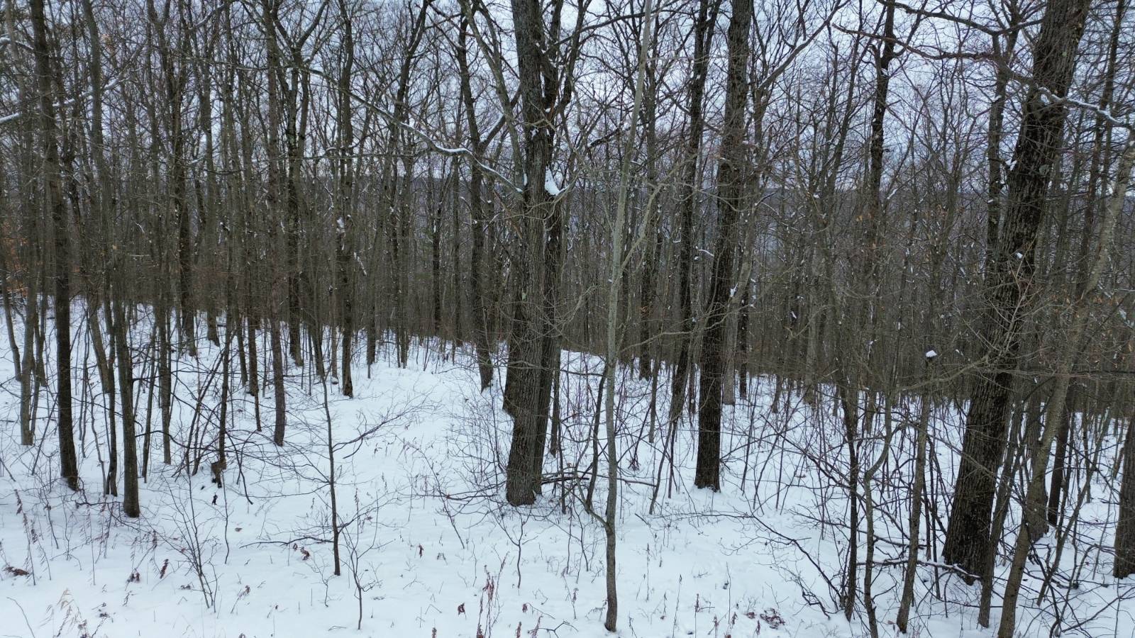 #14 photo, 5537 Highlands Drive, Branchport , NY 14418