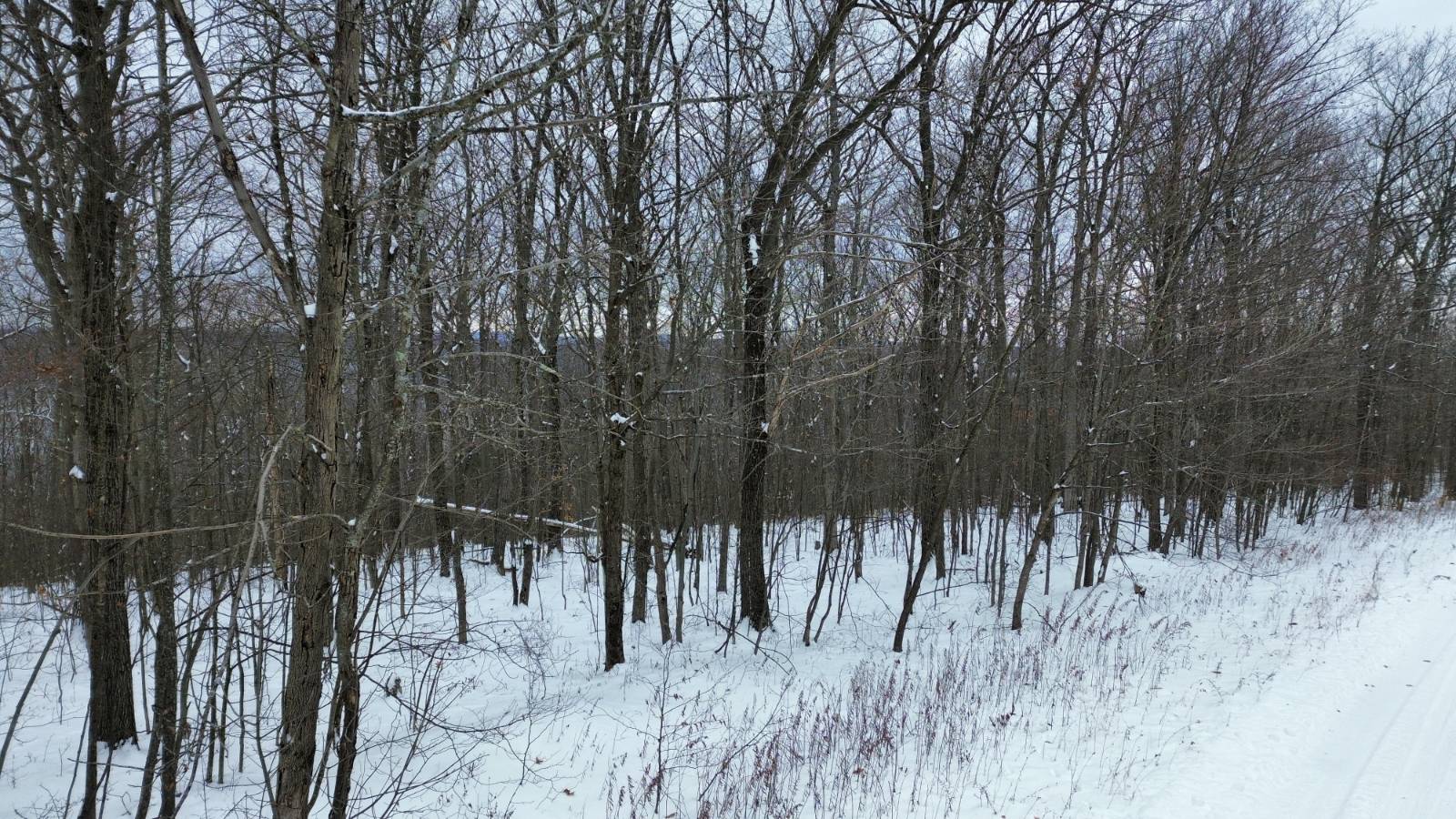 #15 photo, 5537 Highlands Drive, Branchport , NY 14418