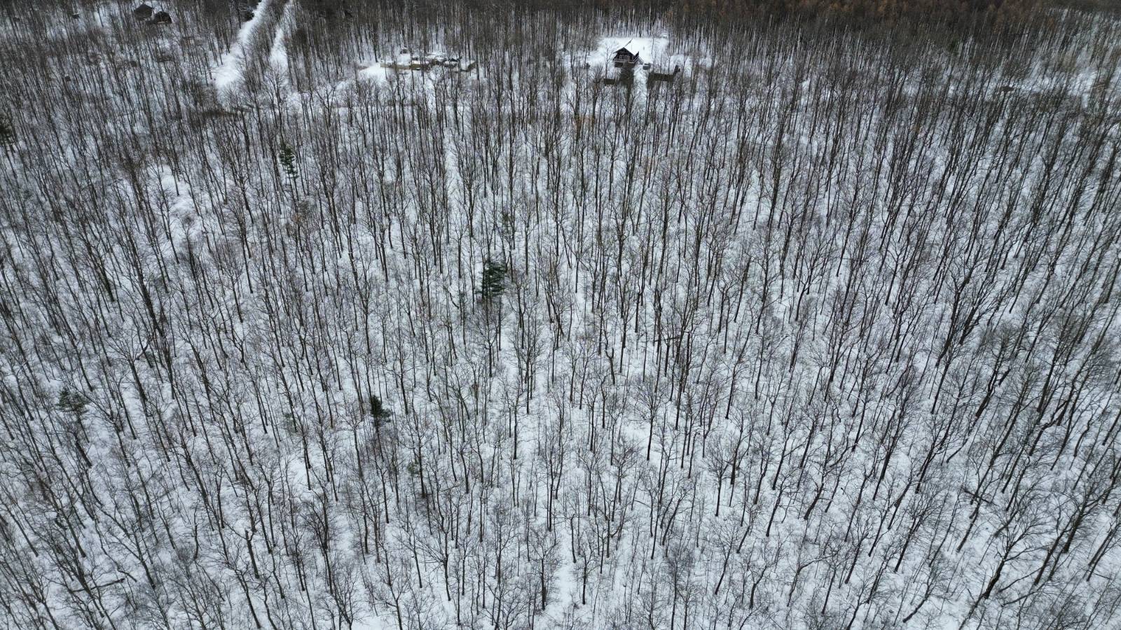 #2 photo, 5537 Highlands Drive, Branchport , NY 14418