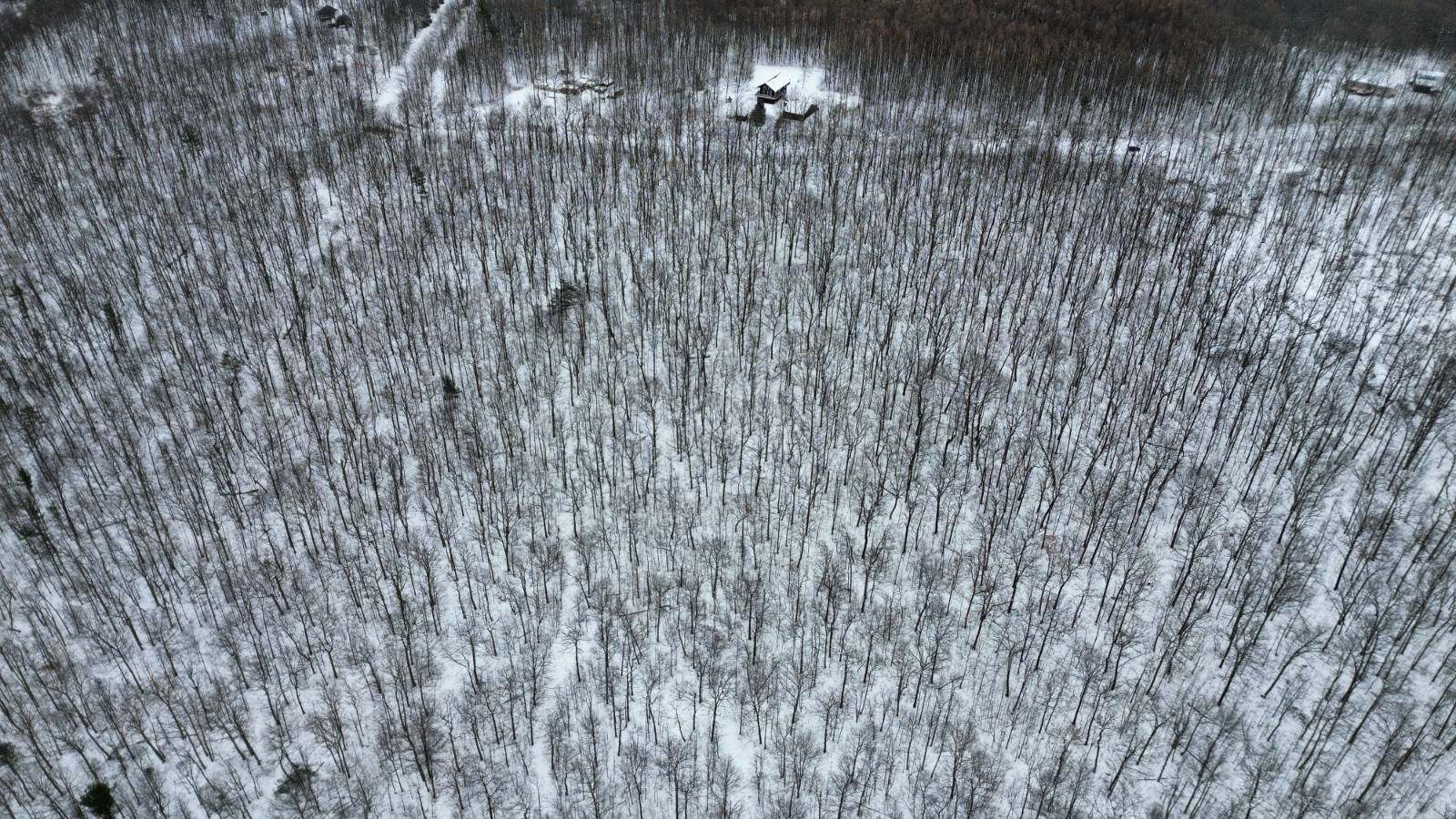 #3 photo, 5537 Highlands Drive, Branchport , NY 14418