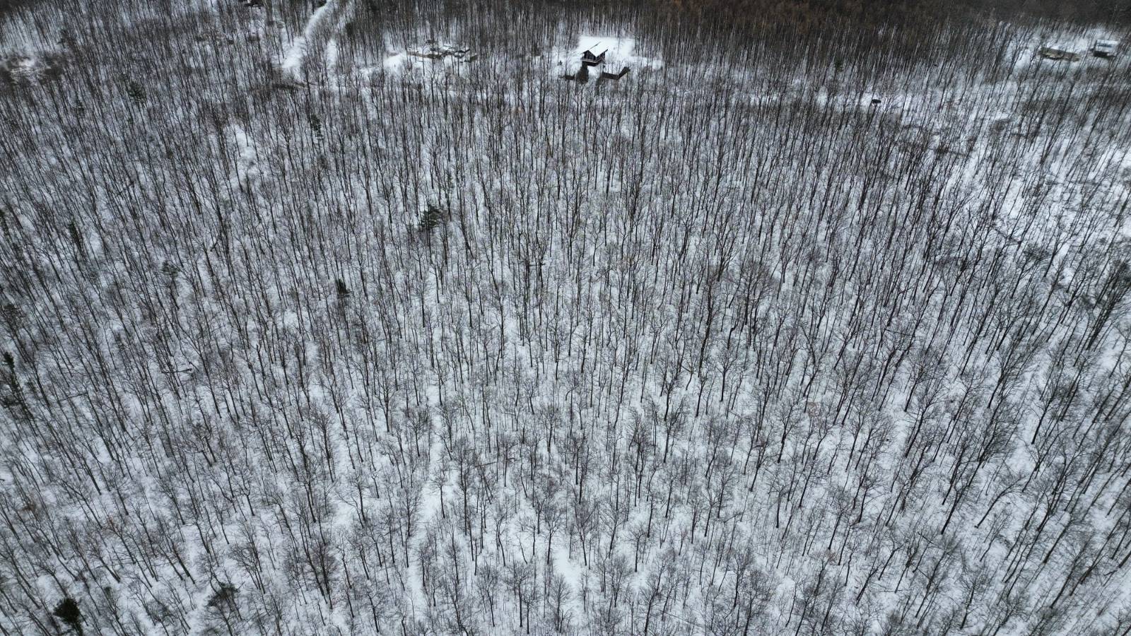 #4 photo, 5537 Highlands Drive, Branchport , NY 14418