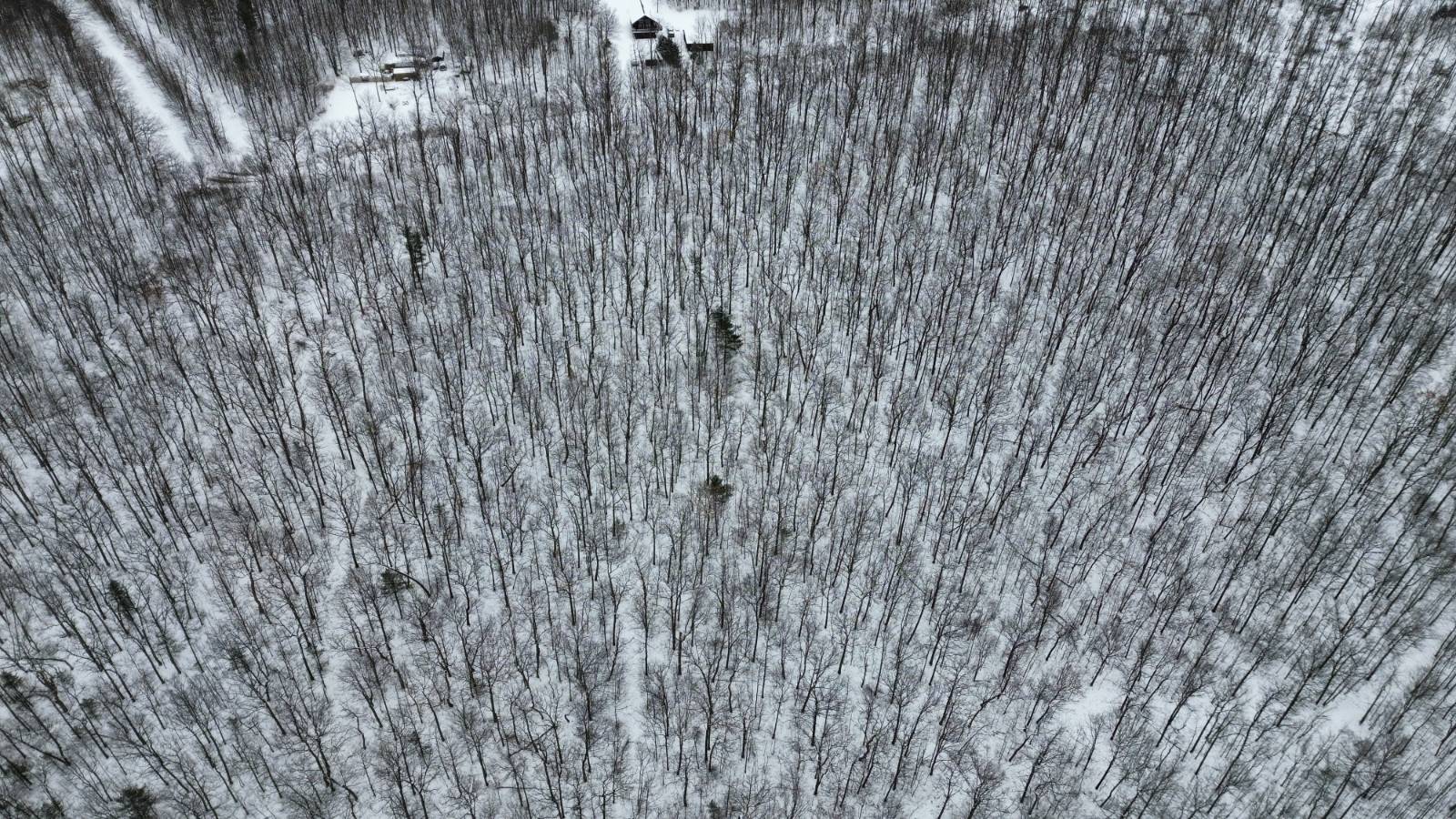 #5 photo, 5537 Highlands Drive, Branchport , NY 14418