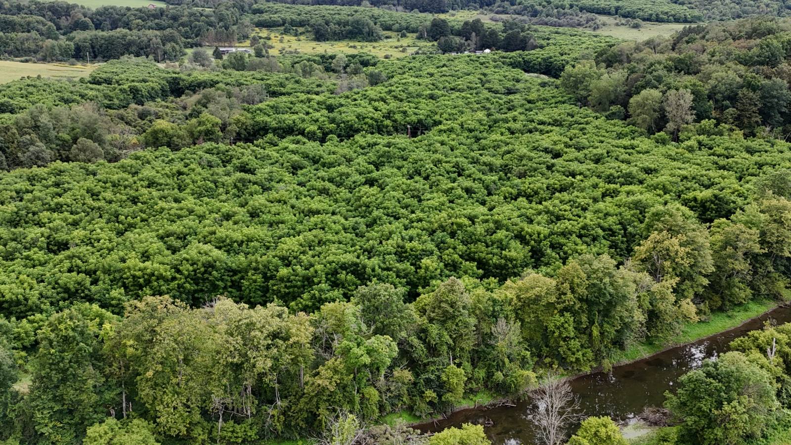 #1 photo, 00 County Rd 14, Earlville , NY 13332