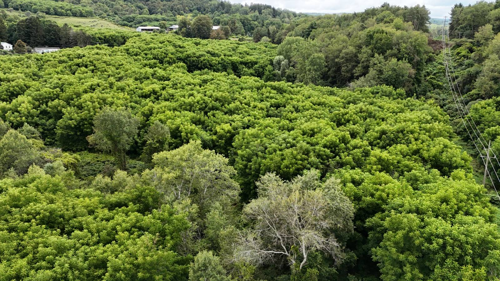 #10 photo, 00 County Rd 14, Earlville , NY 13332