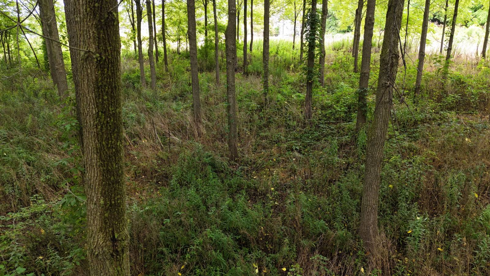 #11 photo, 00 County Rd 14, Earlville , NY 13332