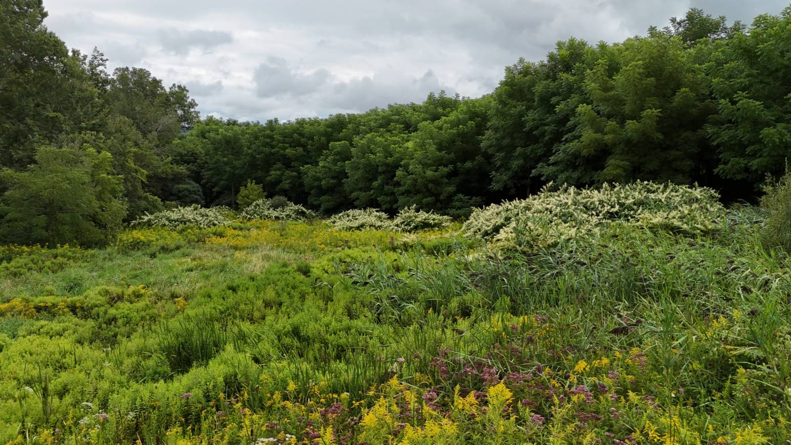 #12 photo, 00 County Rd 14, Earlville , NY 13332