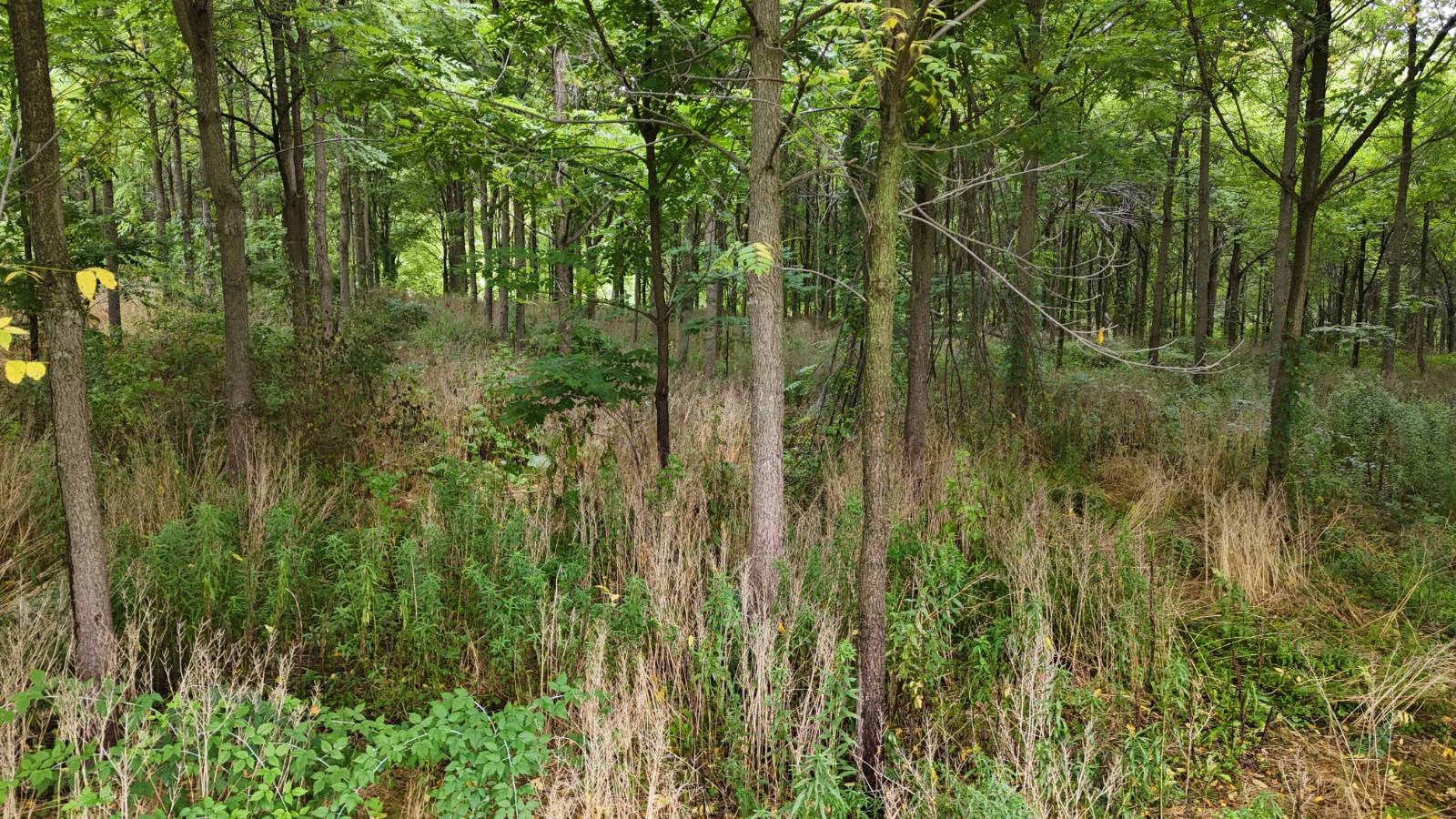 #13 photo, 00 County Rd 14, Earlville , NY 13332