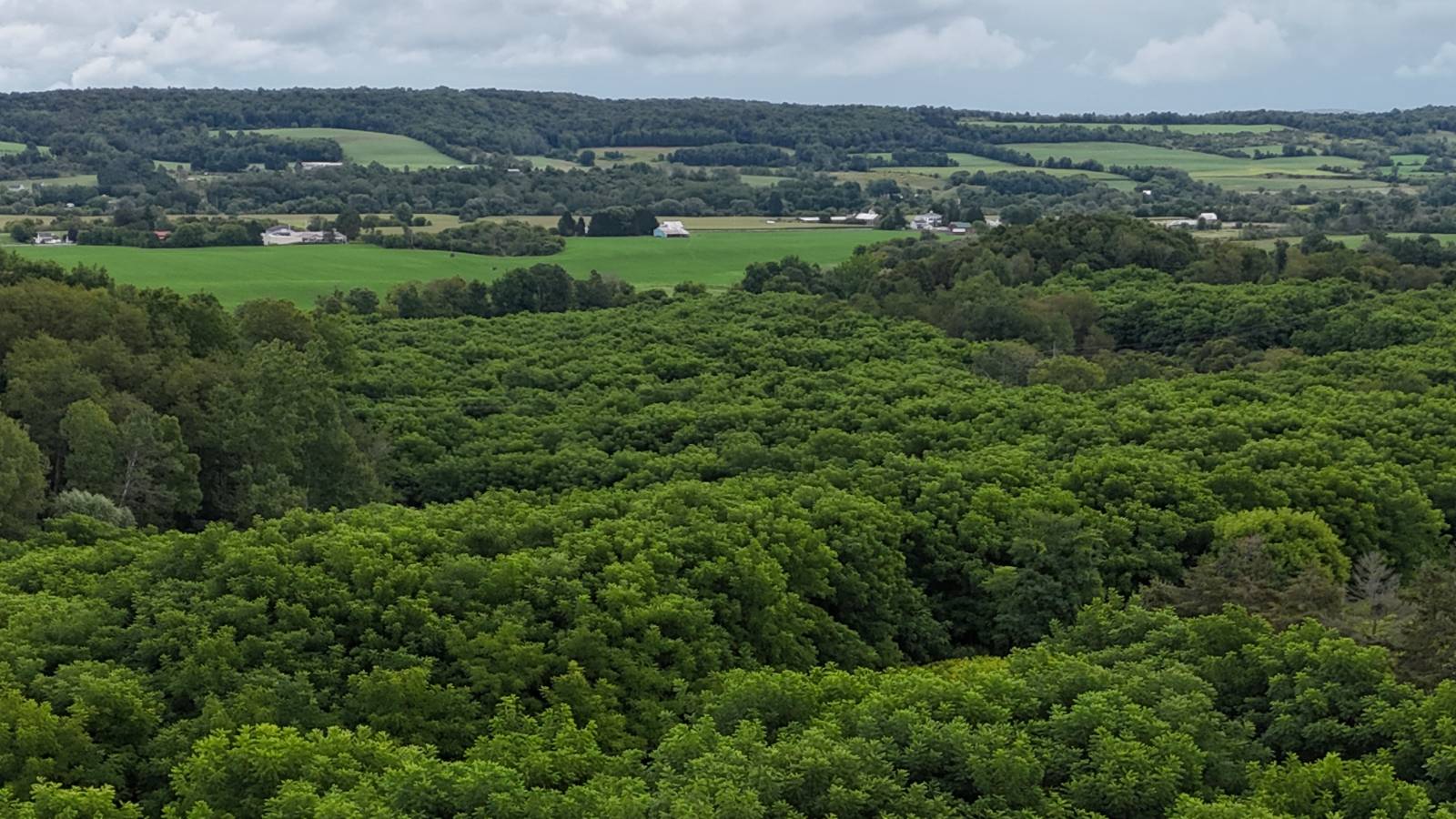 #16 photo, 00 County Rd 14, Earlville , NY 13332