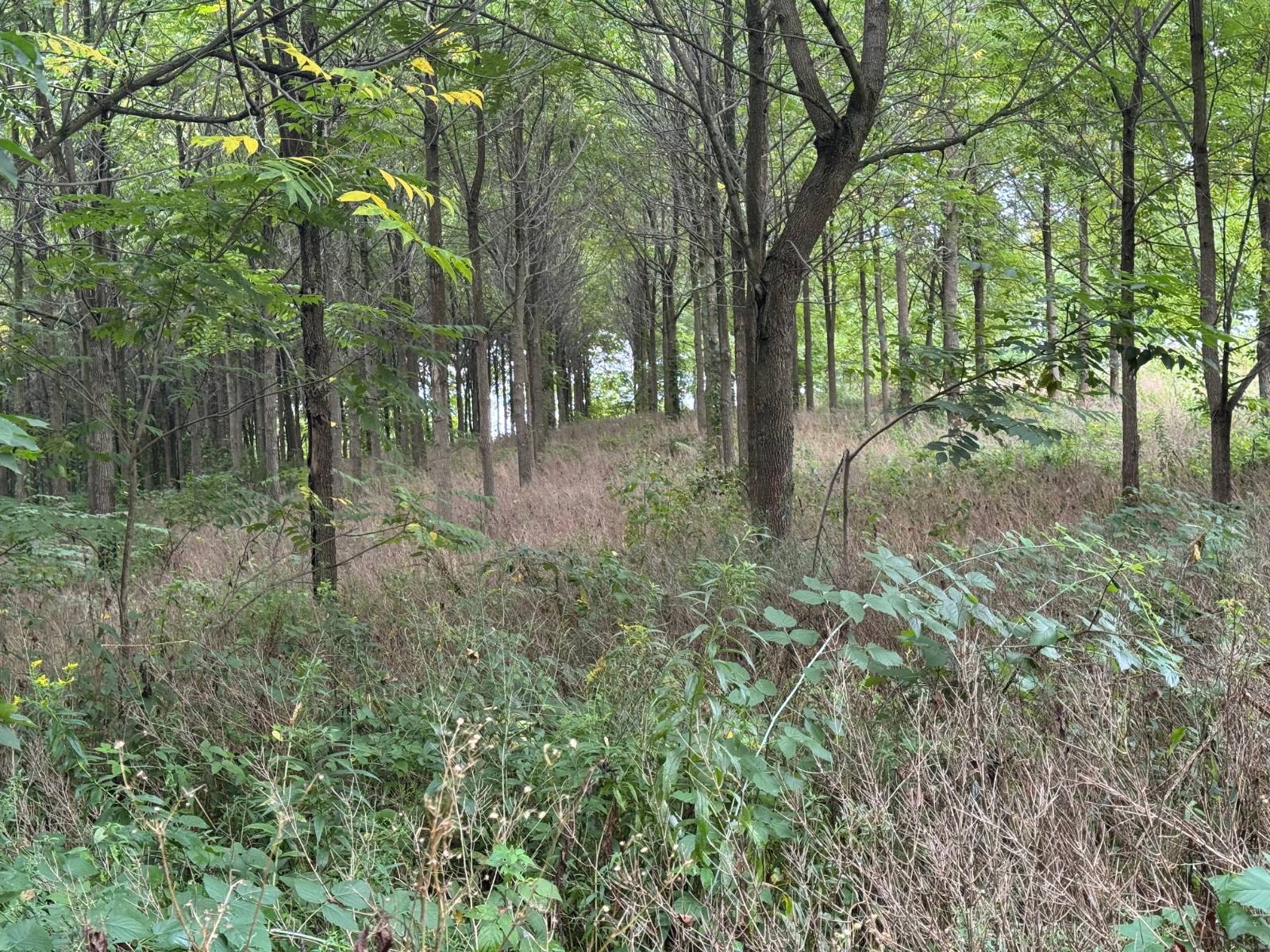 #19 photo, 00 County Rd 14, Earlville , NY 13332