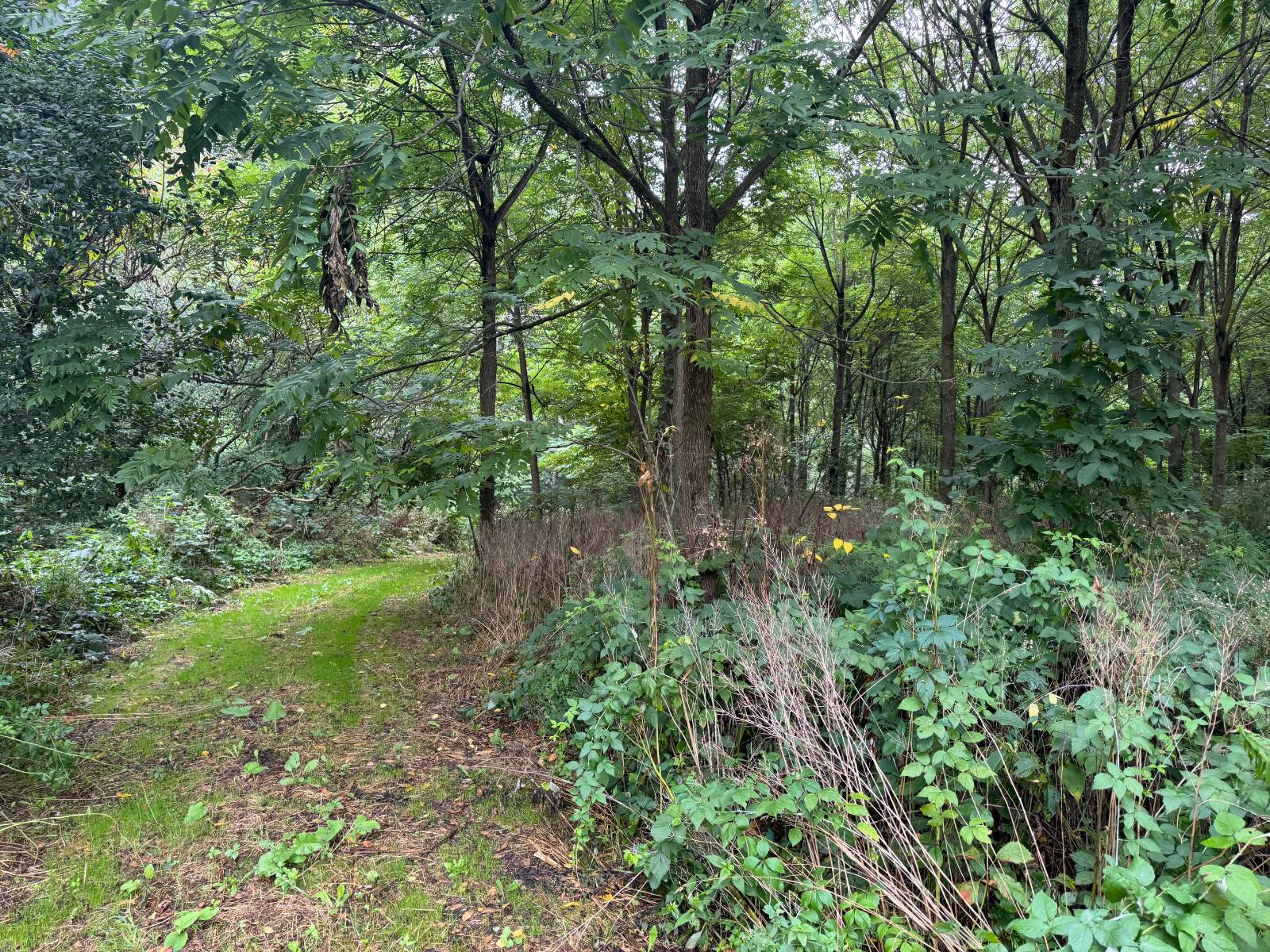 #21 photo, 00 County Rd 14, Earlville , NY 13332