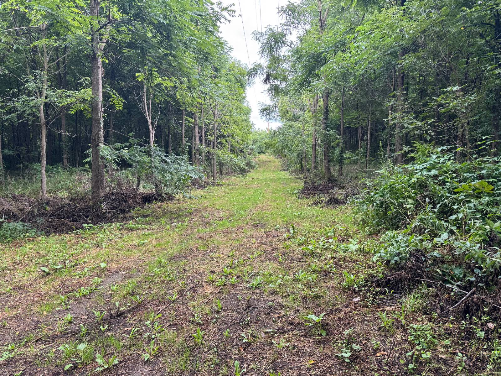 #22 photo, 00 County Rd 14, Earlville , NY 13332