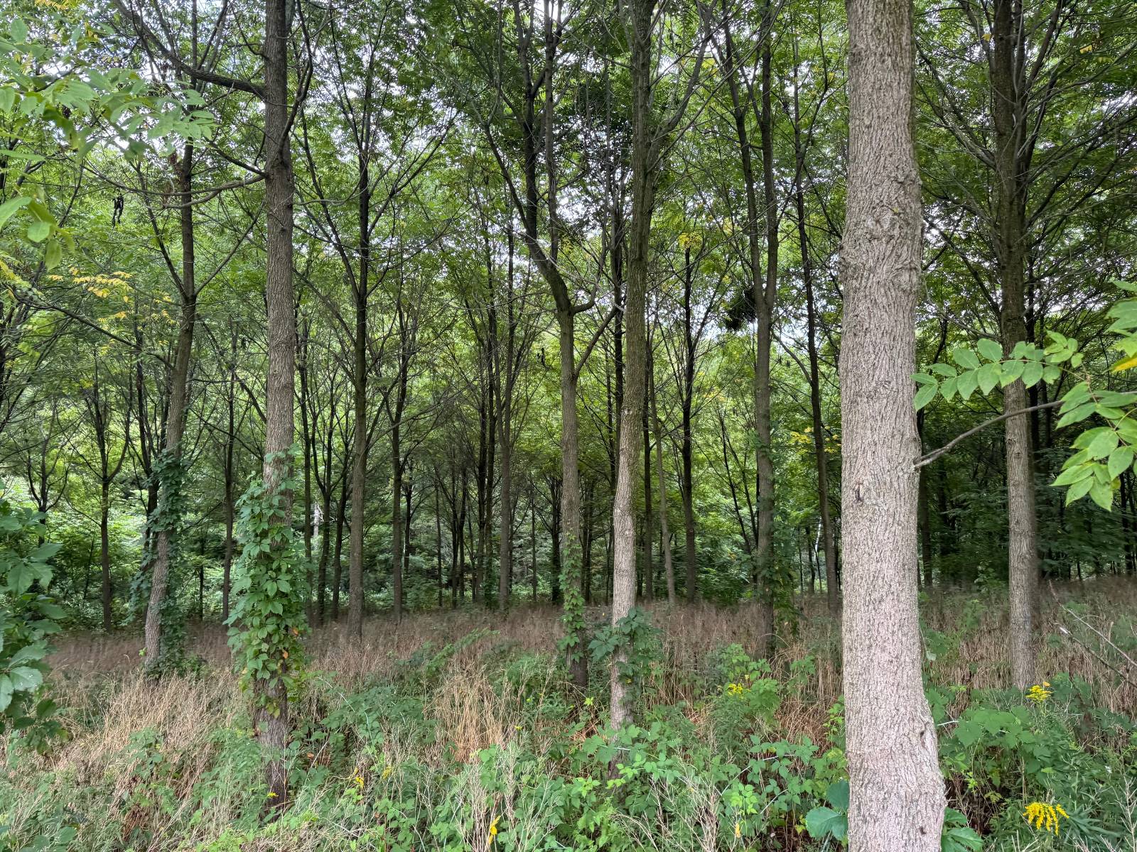 #23 photo, 00 County Rd 14, Earlville , NY 13332