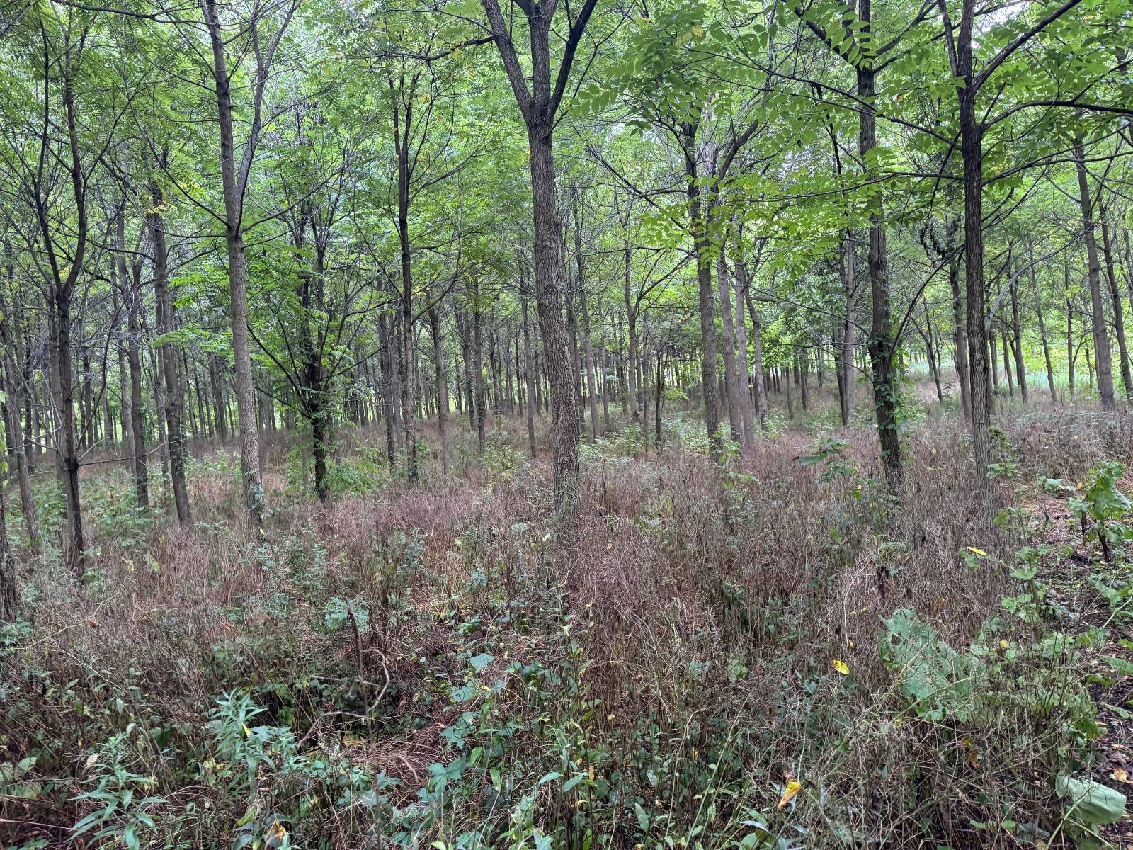 #24 photo, 00 County Rd 14, Earlville , NY 13332