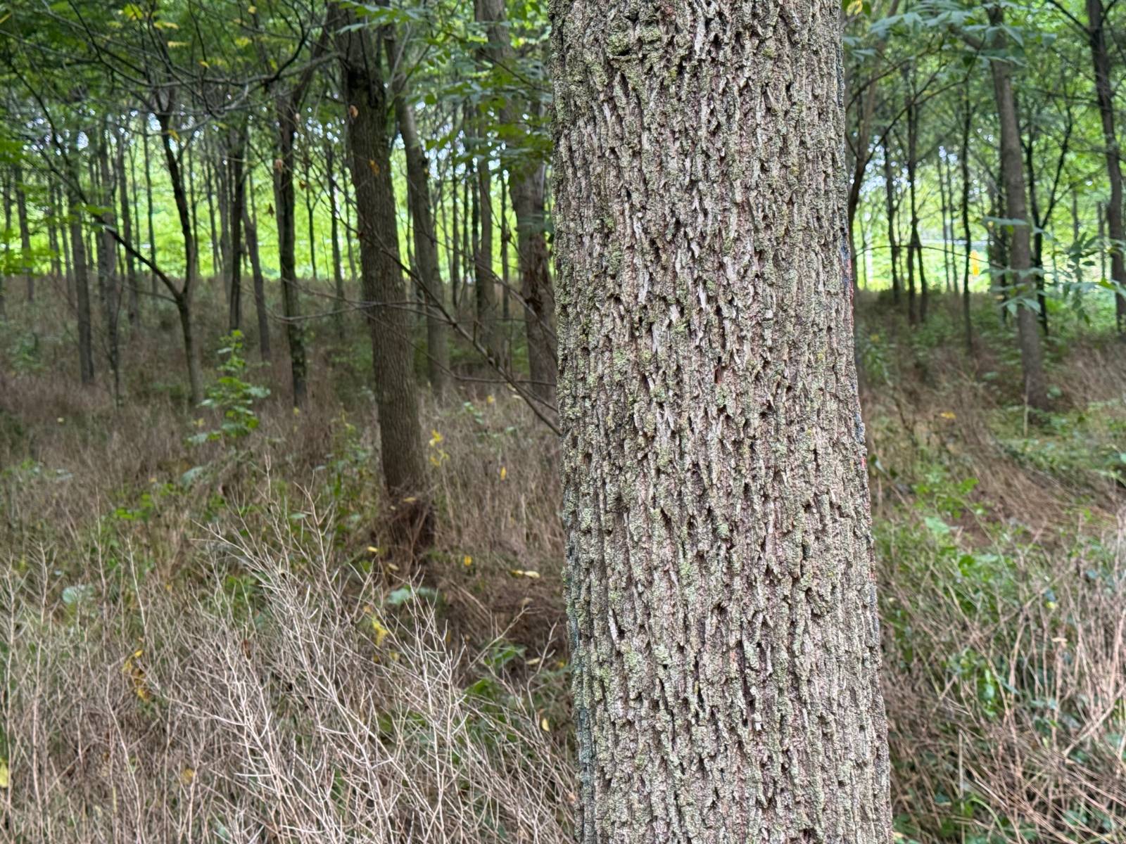 #25 photo, 00 County Rd 14, Earlville , NY 13332