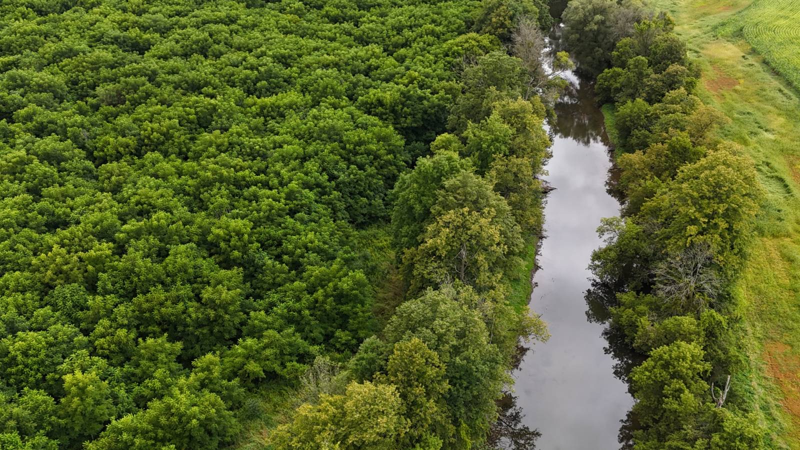 #6 photo, 00 County Rd 14, Earlville , NY 13332