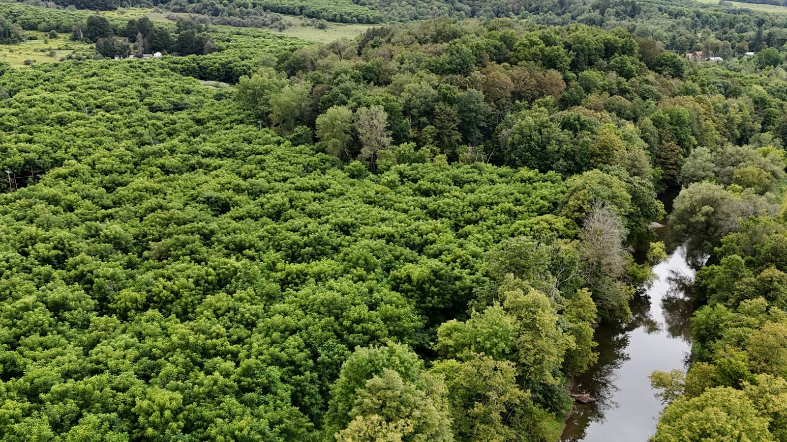 #7 photo, 00 County Rd 14, Earlville , NY 13332