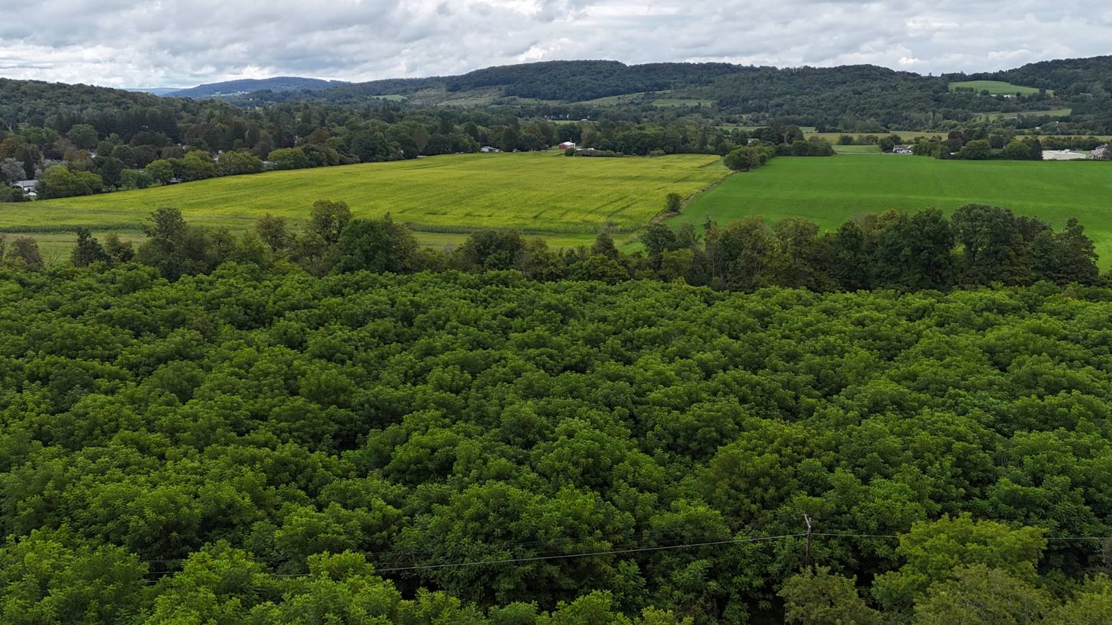 #8 photo, 00 County Rd 14, Earlville , NY 13332