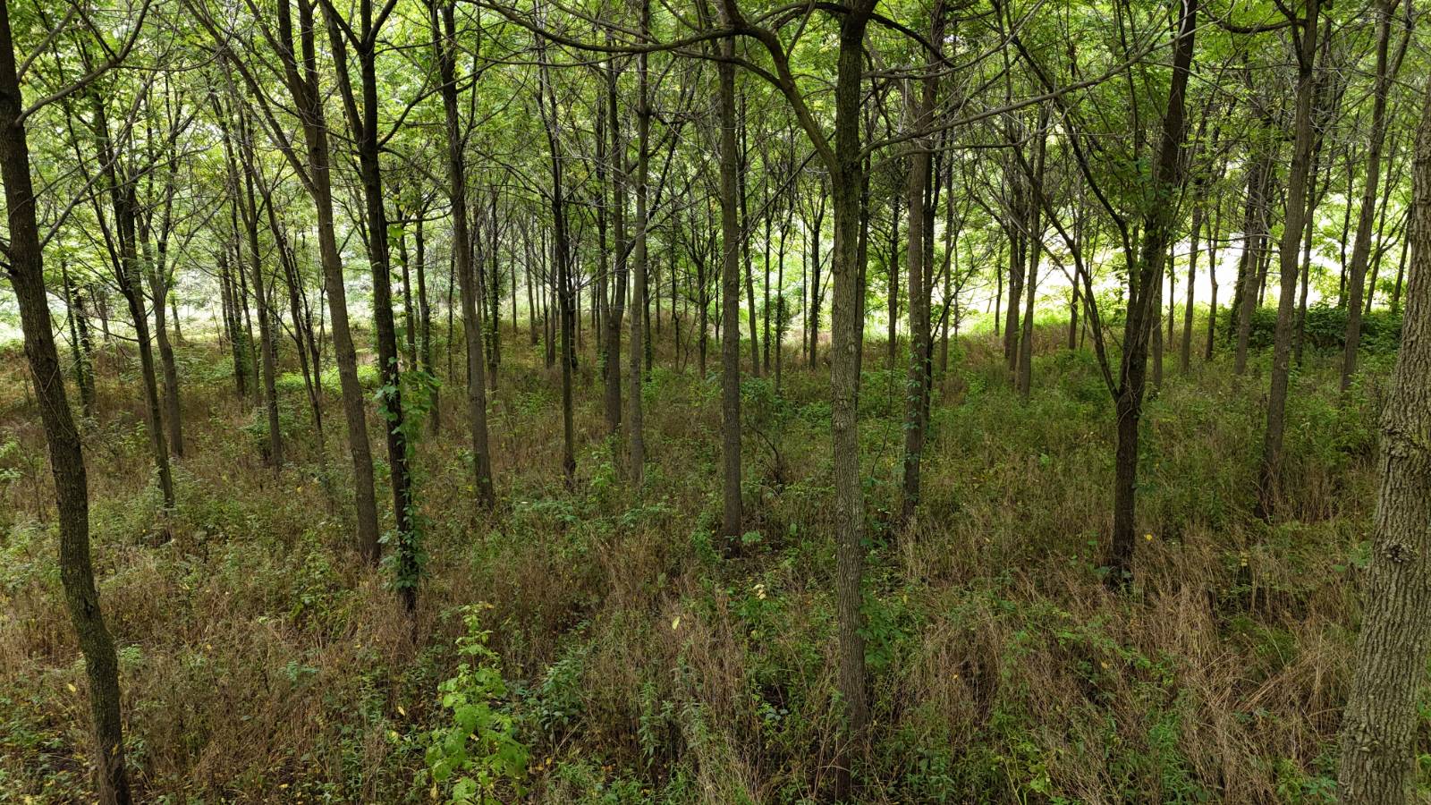 #9 photo, 00 County Rd 14, Earlville , NY 13332