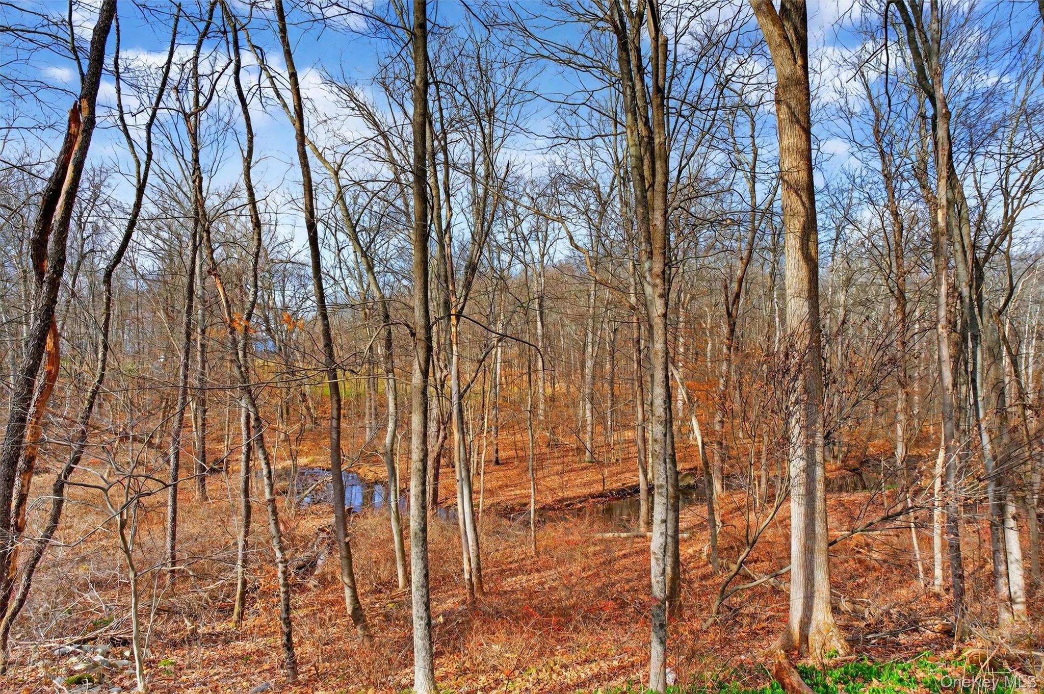 #19 photo, 1360 State Route 208, 紐約州 Wallkill , NY 12589