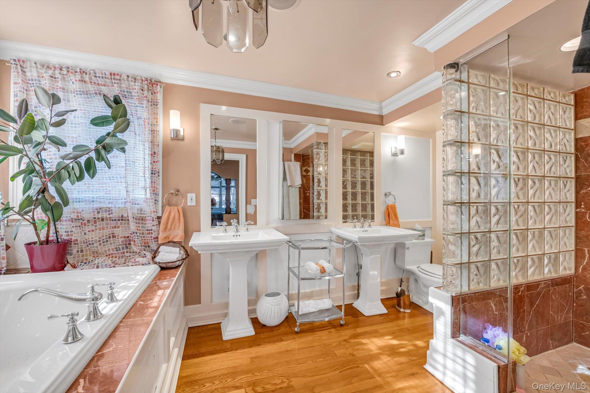 #7 photo, 4005 Grace Avenue, Bronx , NY 10466