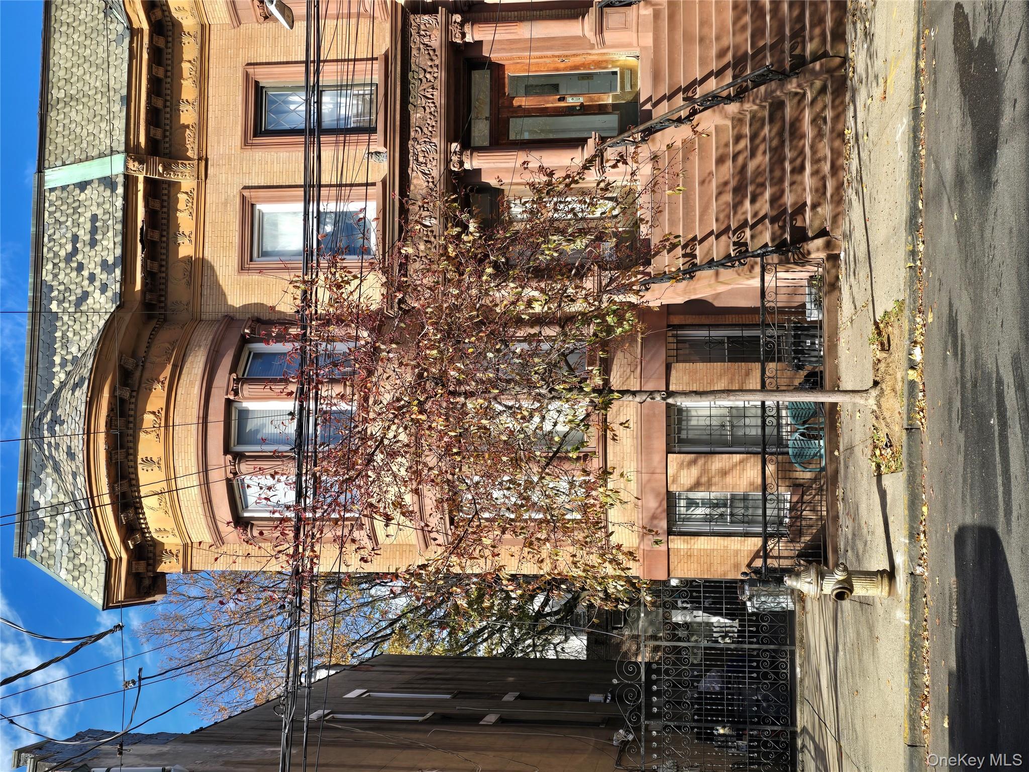 #1 photo, 767 Beck Street, Bronx , NY 10455