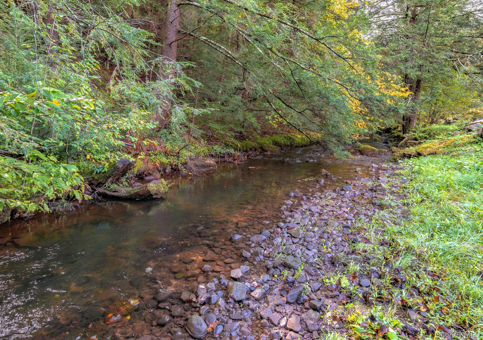 #7 photo, 178 Aden Road, Liberty , NY 12754