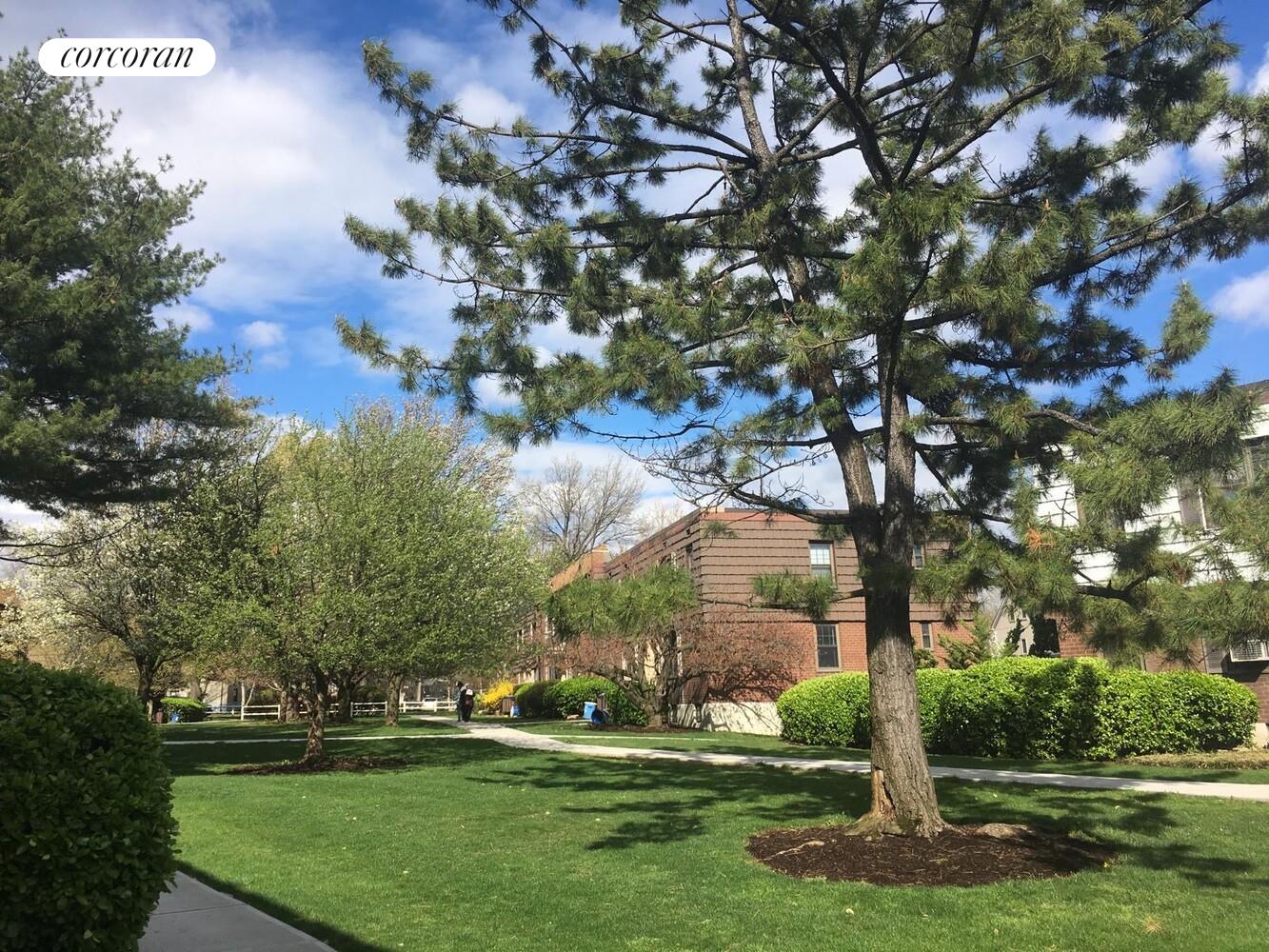 #12 photo, Kew Gardens Hills, Kew Gardens Hills , NY 11367