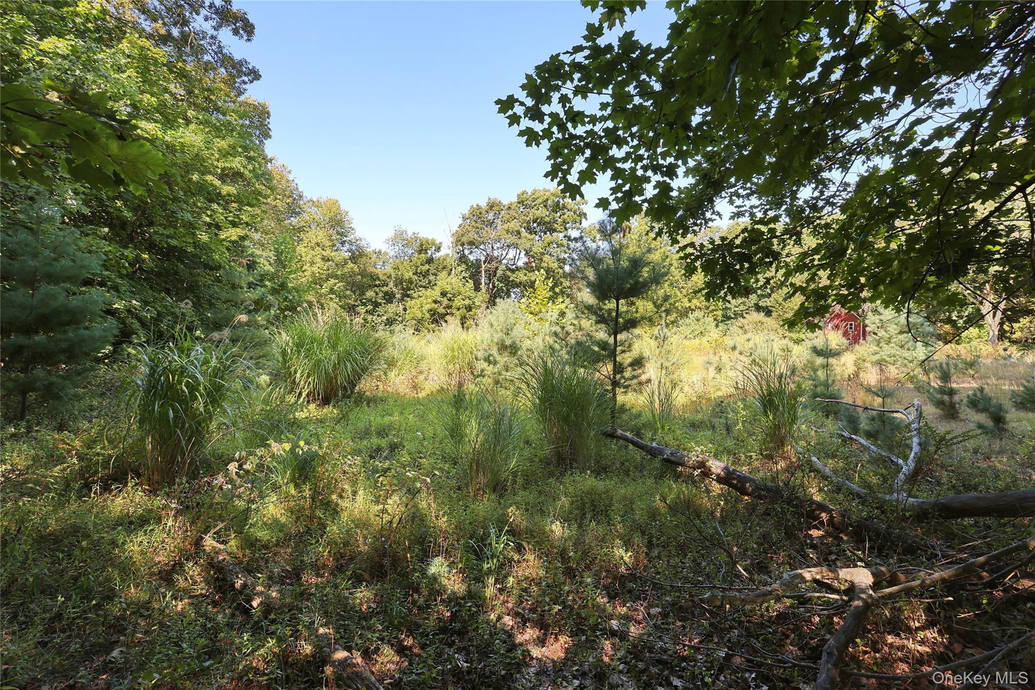 #11 photo, 6 Bellows Lane, Chestnut Ridge , NY 10952