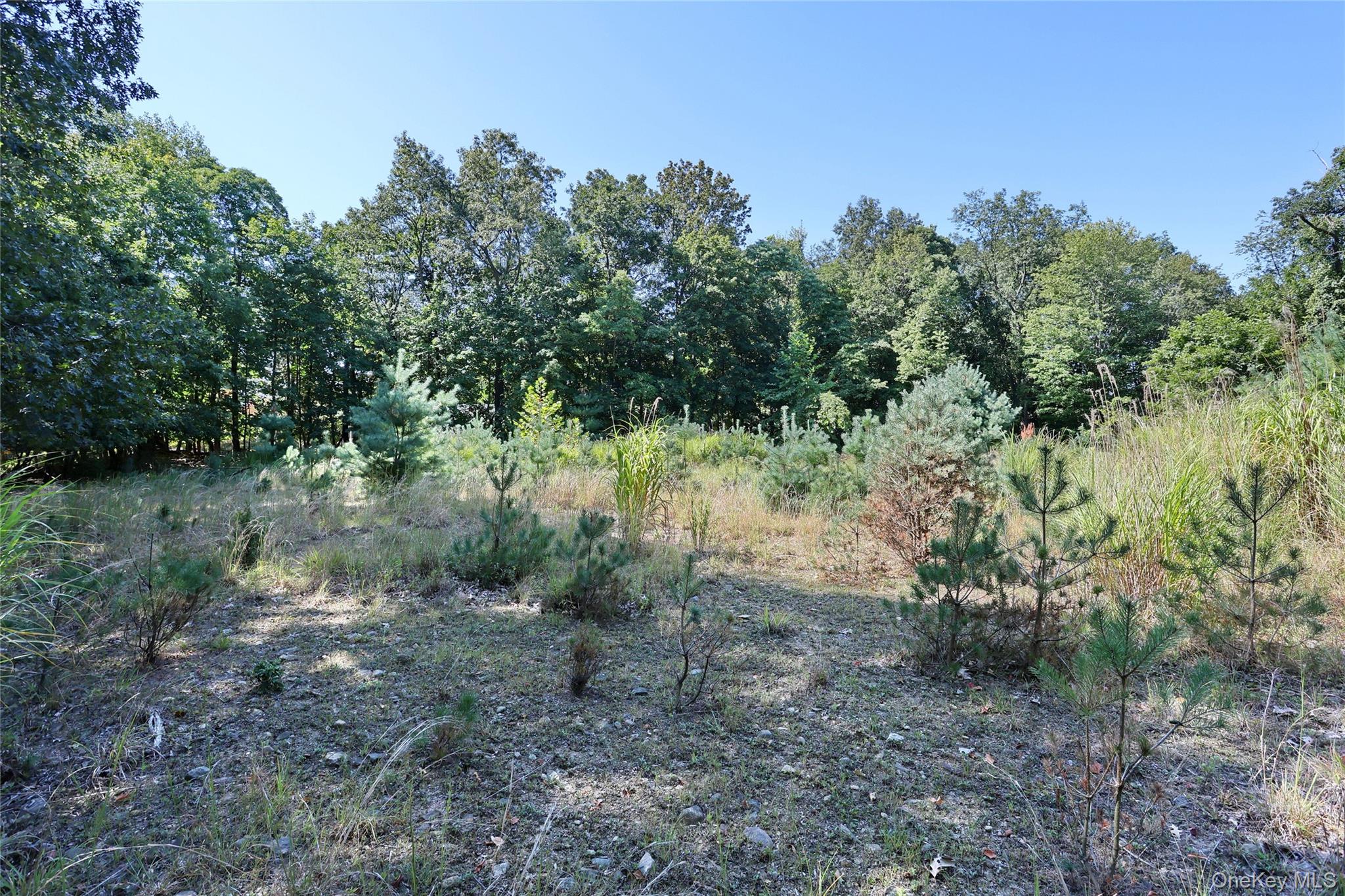 #13 photo, 6 Bellows Lane, Chestnut Ridge , NY 10952