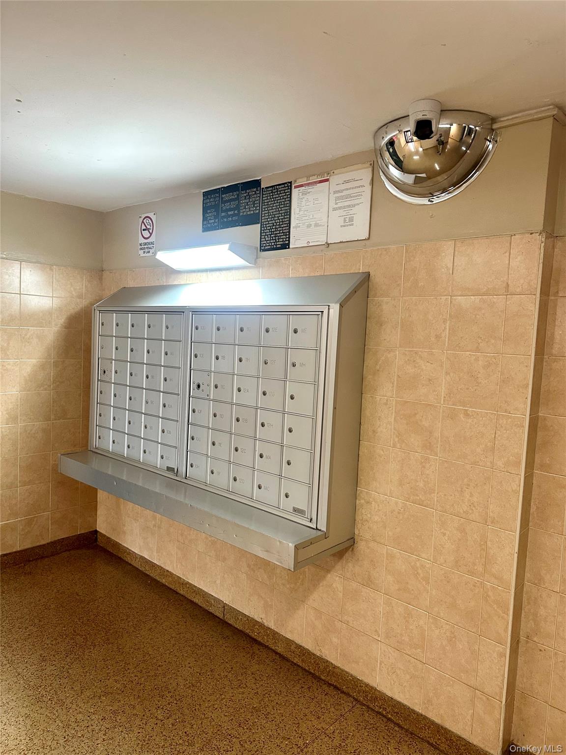 #16 photo, 20 Metropolitan Oval, Bronx , NY 10462