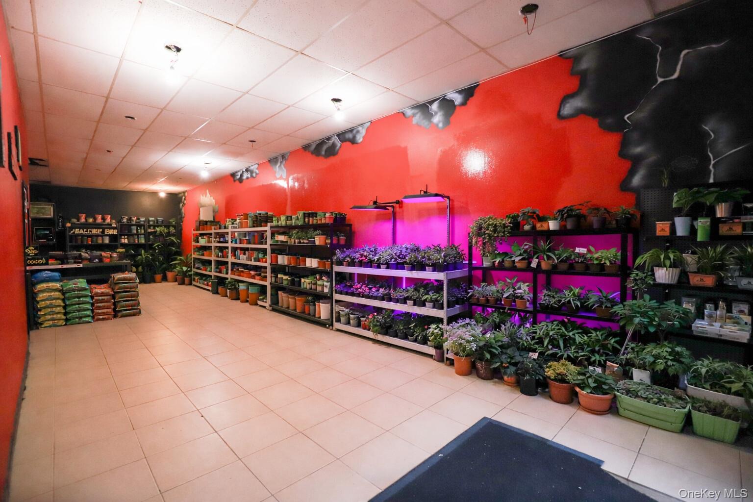 #18 photo, 2354 Pitkin Avenue, Brooklyn , NY 11207