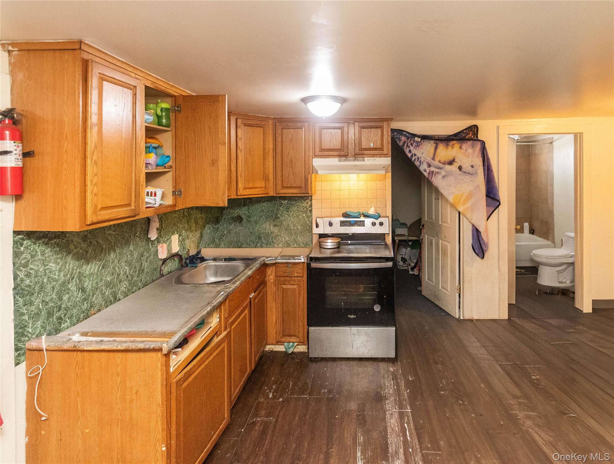 #18 photo, 244 Canal Street, Ellenville , NY 12428