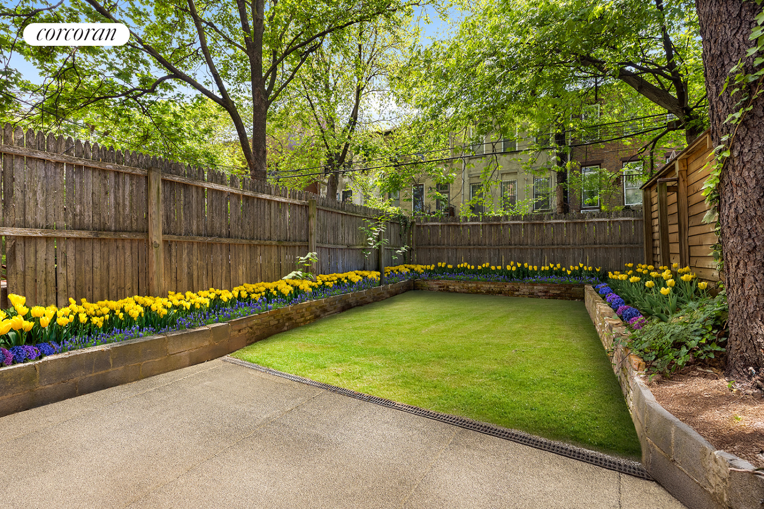 #17 photo, 416 HALSEY Street, Stuyvesant Heights , NY 11233