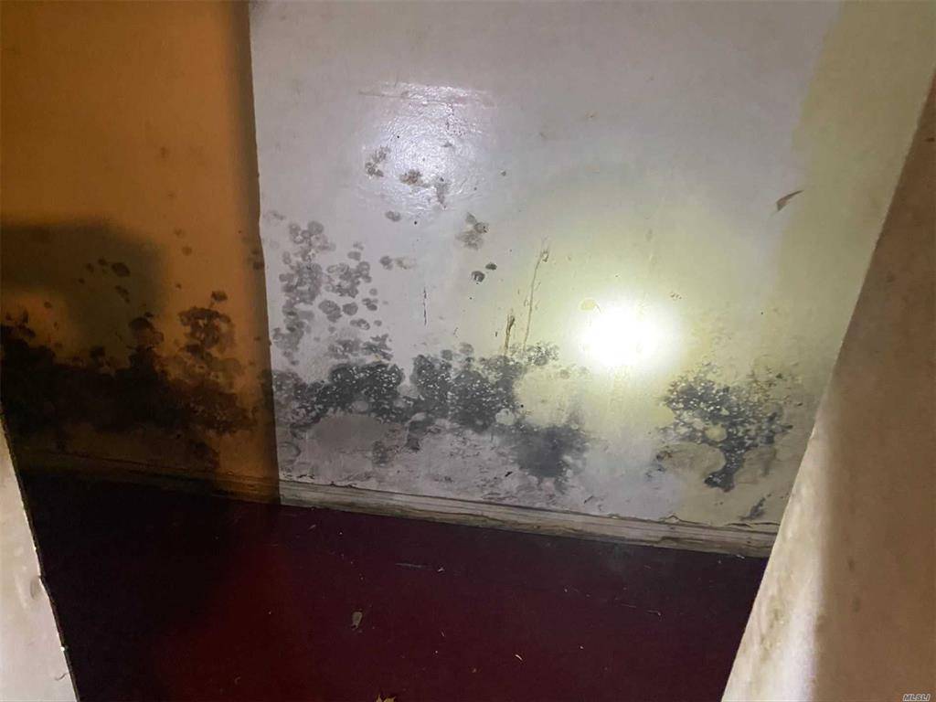 #16 photo, 110-03 Guy Brewer Blvd, #40, Jamaica , NY 11433