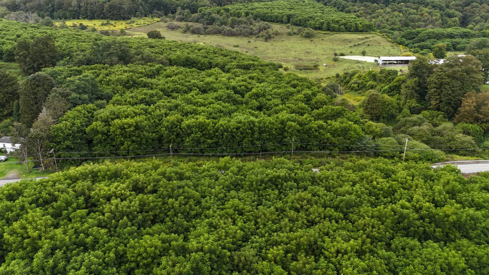 #1 photo, 00 County Rd 14, Earlville , NY 13332