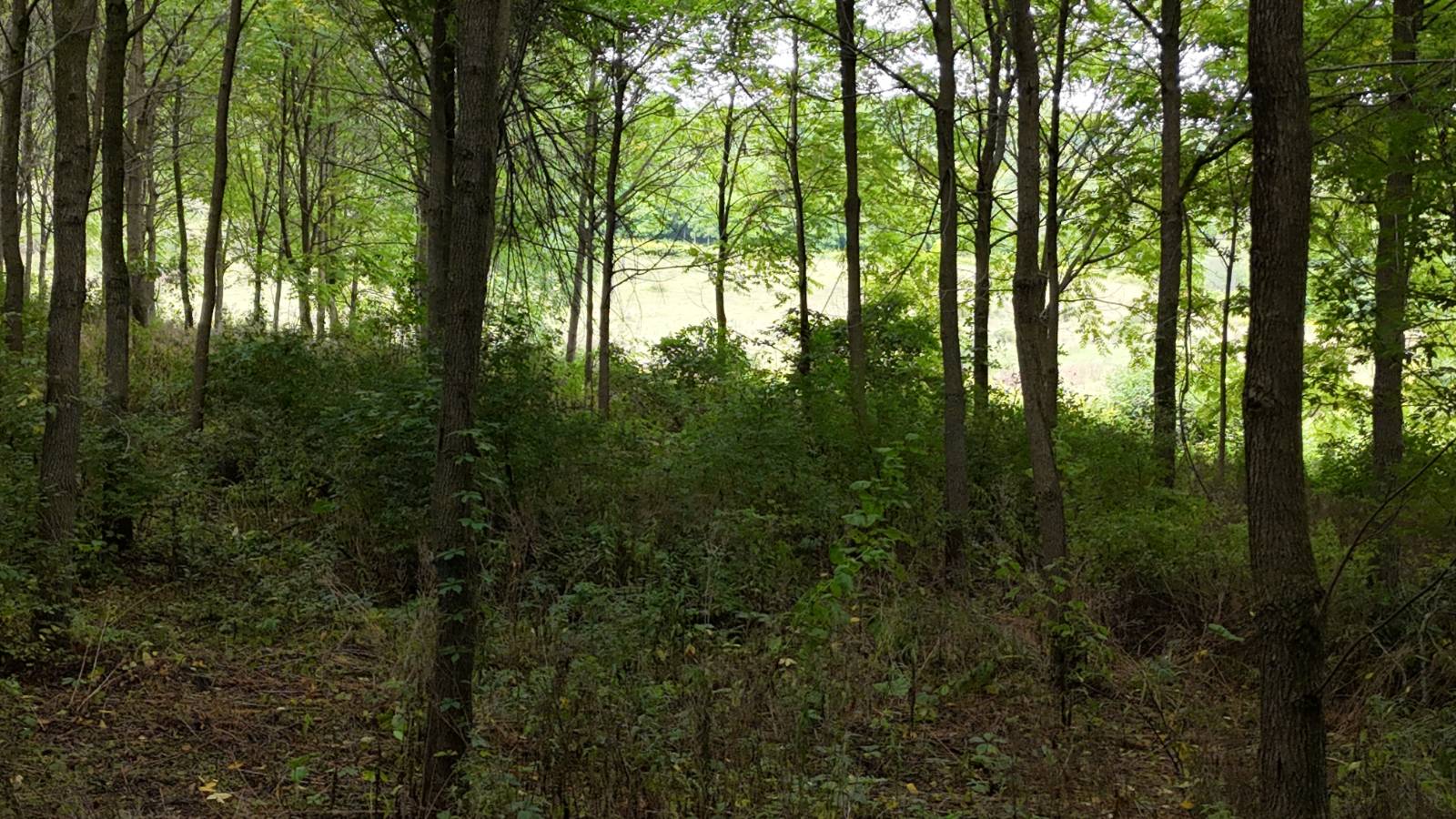 #12 photo, 00 County Rd 14, Earlville , NY 13332