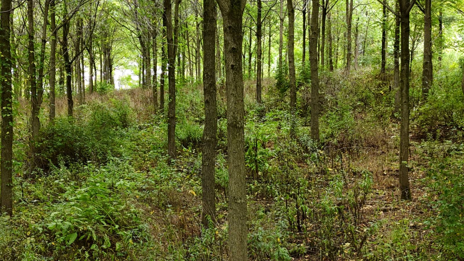 #13 photo, 00 County Rd 14, Earlville , NY 13332