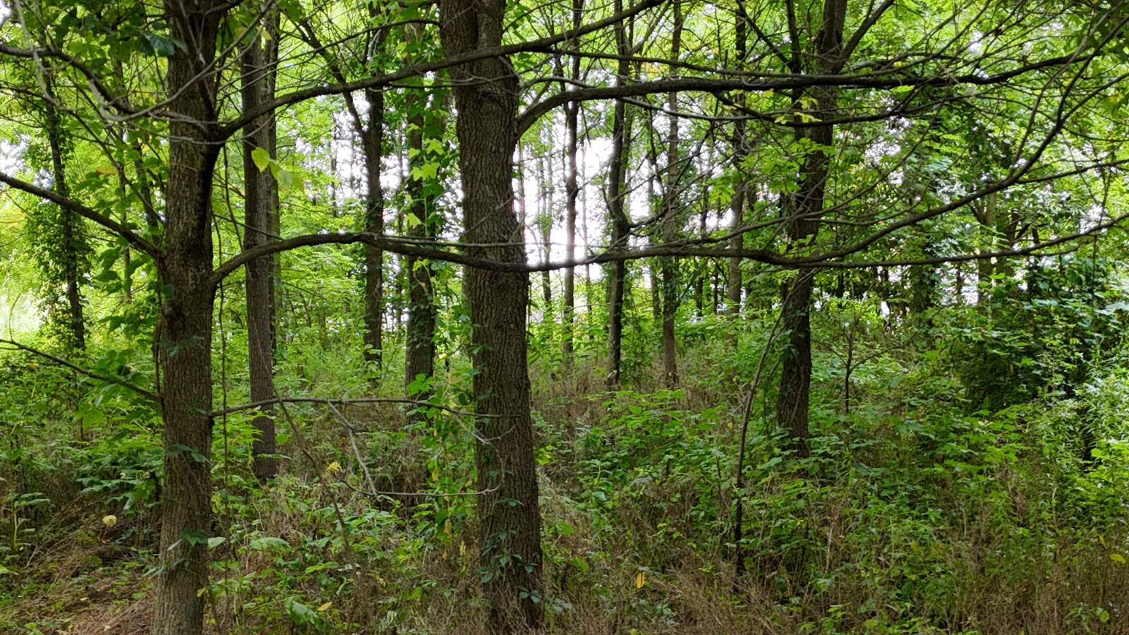 #9 photo, 00 County Rd 14, Earlville , NY 13332