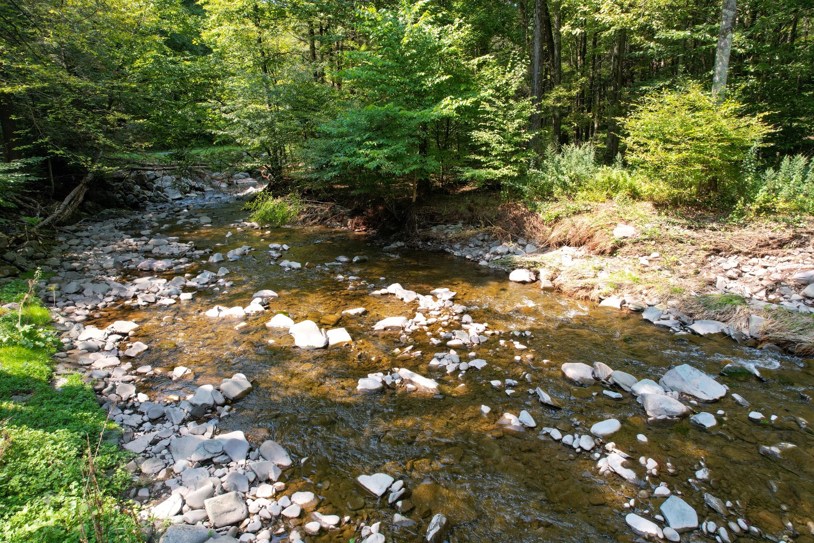 #26 photo, 3774 Methol Rd, East Branch , NY 13756