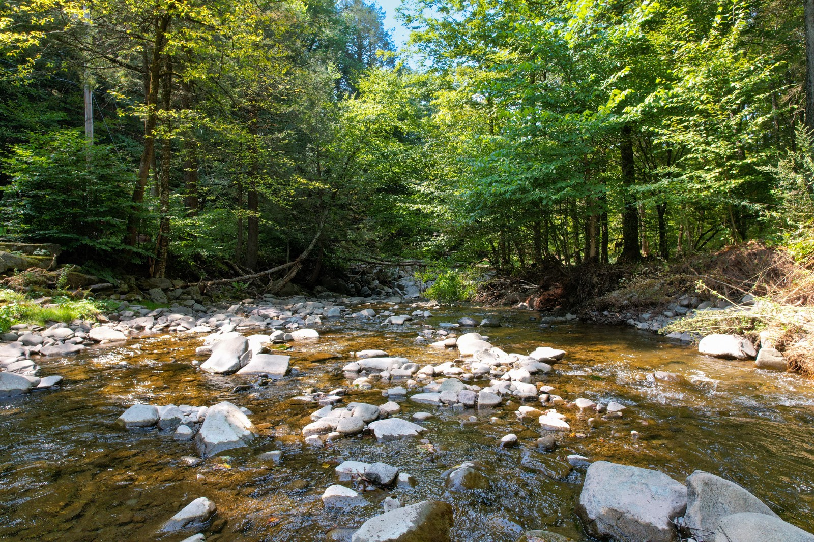 #6 photo, 3774 Methol Rd, East Branch , NY 13756